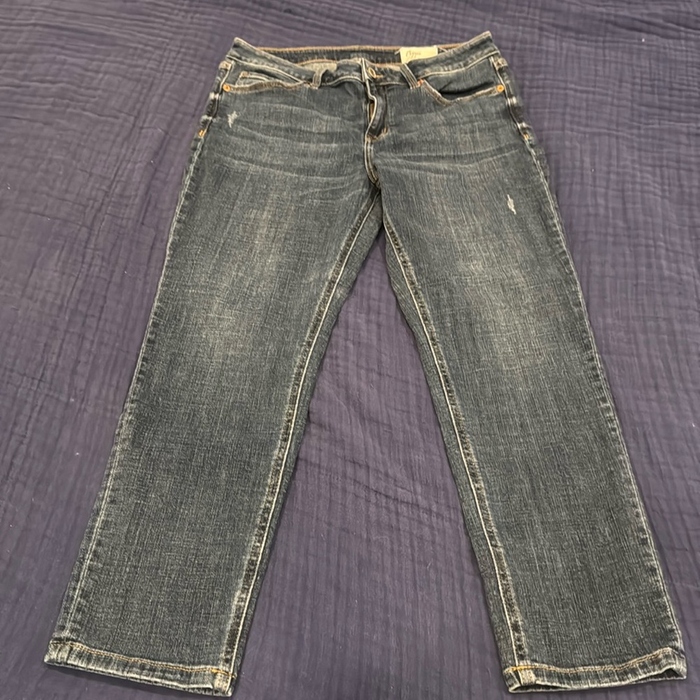 Cosmic Blue Love 31 Petite Straight Leg Jeans